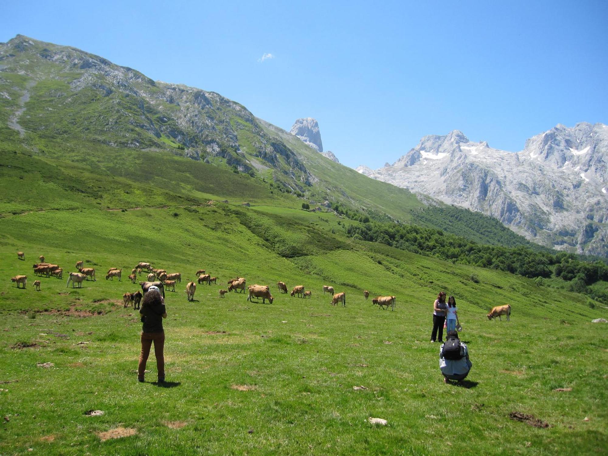 Hosteria Picos De Europa بوت المظهر الخارجي الصورة