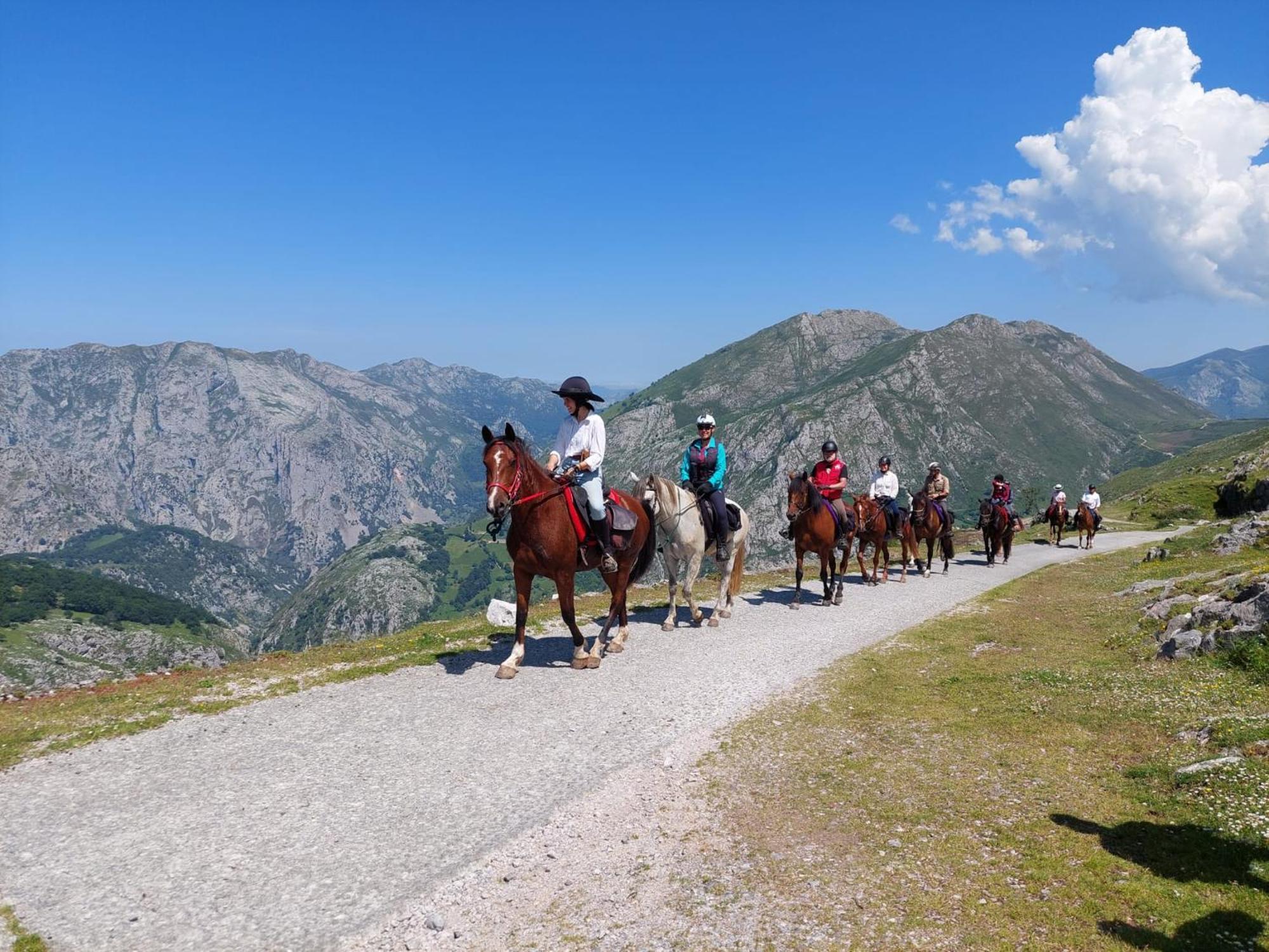 Hosteria Picos De Europa بوت المظهر الخارجي الصورة